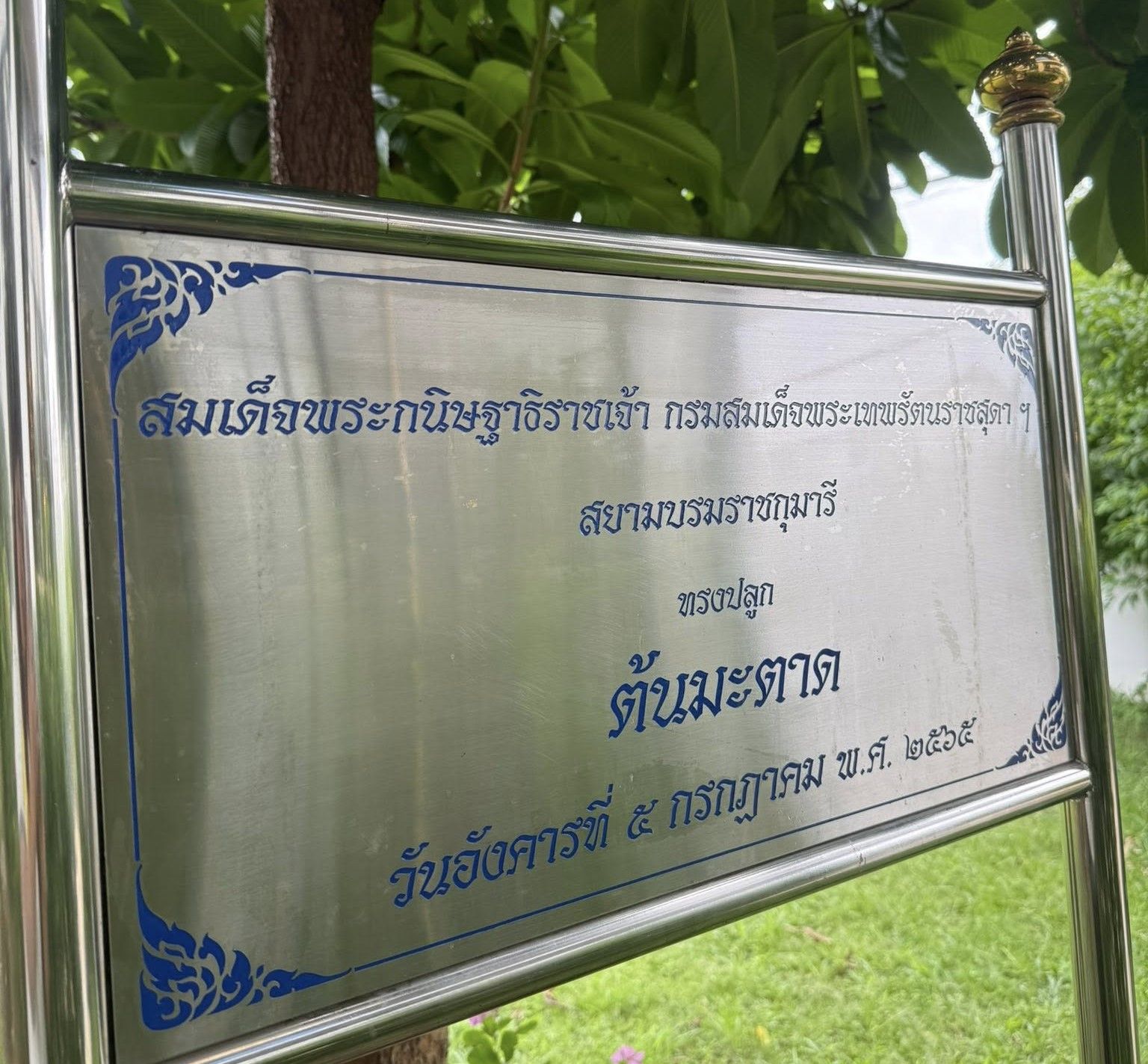 ต้นมะตาด ต้นไม้ทรงปลูก สมเด็จพระกนิษฐาธิราชเจ้า กรมสมเด็จพระเทพรัตนราชสุดาฯ สยามบรมราชกุมารี ได้ทรงปลูกต้นมะตาดไว้เมื่อวันที่ 5 กรกฎาคม 2565 ปัจจุบันผลิดอกออกผลเต็มต้น งดงาม ใบสวยทรงคุณค่า เป็นมิ่งขวัญแก่โรงเรียนบ้านเด็กรามอินทราของเราตลอดไป